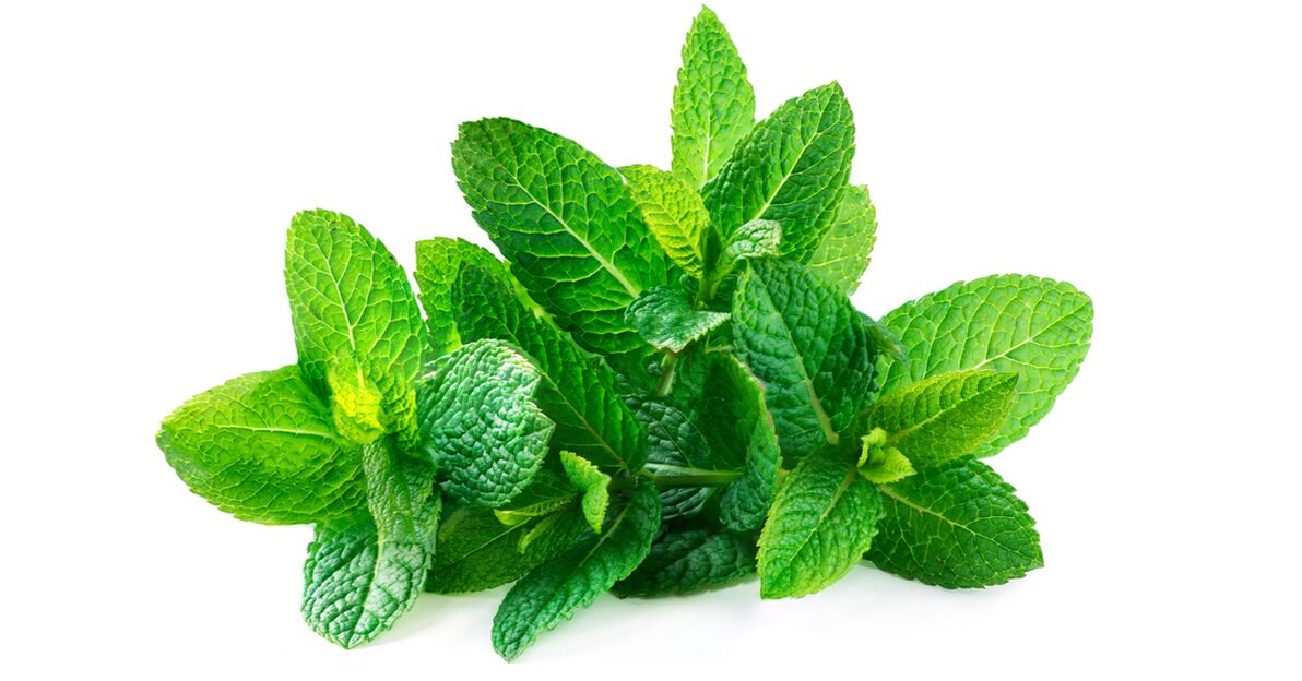 mentolo - un elemento della composizione Depanten